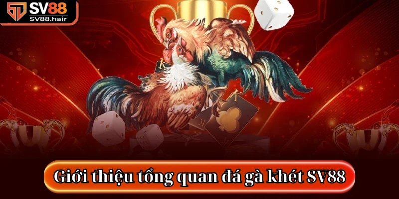 Giới thiệu tổng quan về tựa game đá gà khét SV88