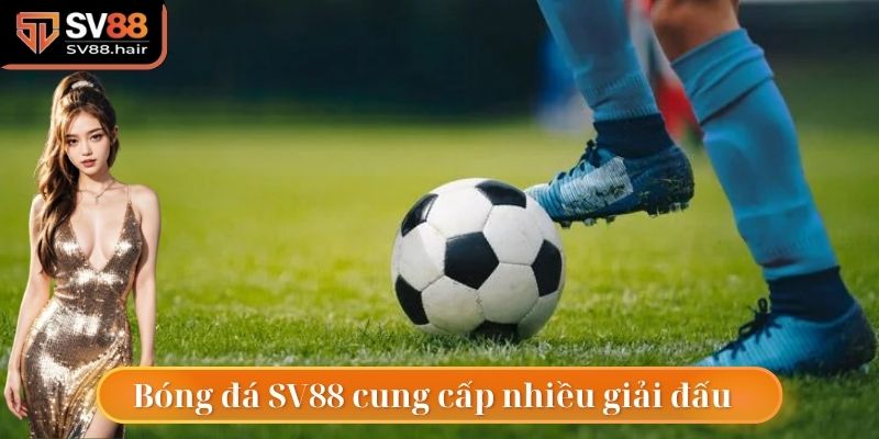 Bóng đá SV88 mang tới nhiều giải đấu lớn, nhỏ
