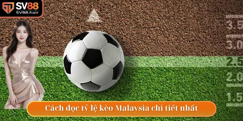 Cách đọc tỷ lệ kèo Malaysia chi tiết hàng đầu